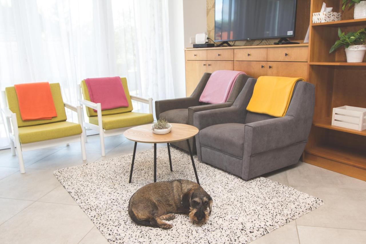 Apartament Dioliget Ohid Zewnętrze zdjęcie