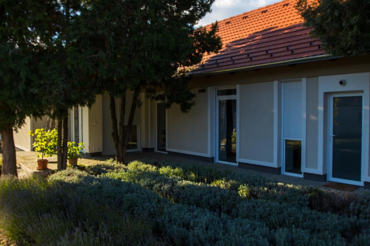 Apartament Dioliget Ohid Zewnętrze zdjęcie